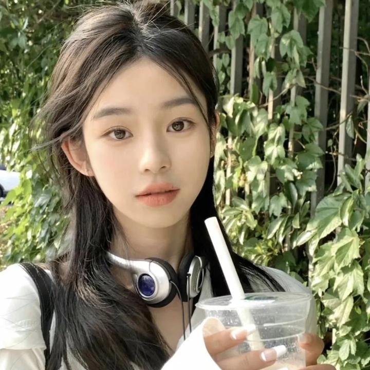 陈赓晋南大捷
